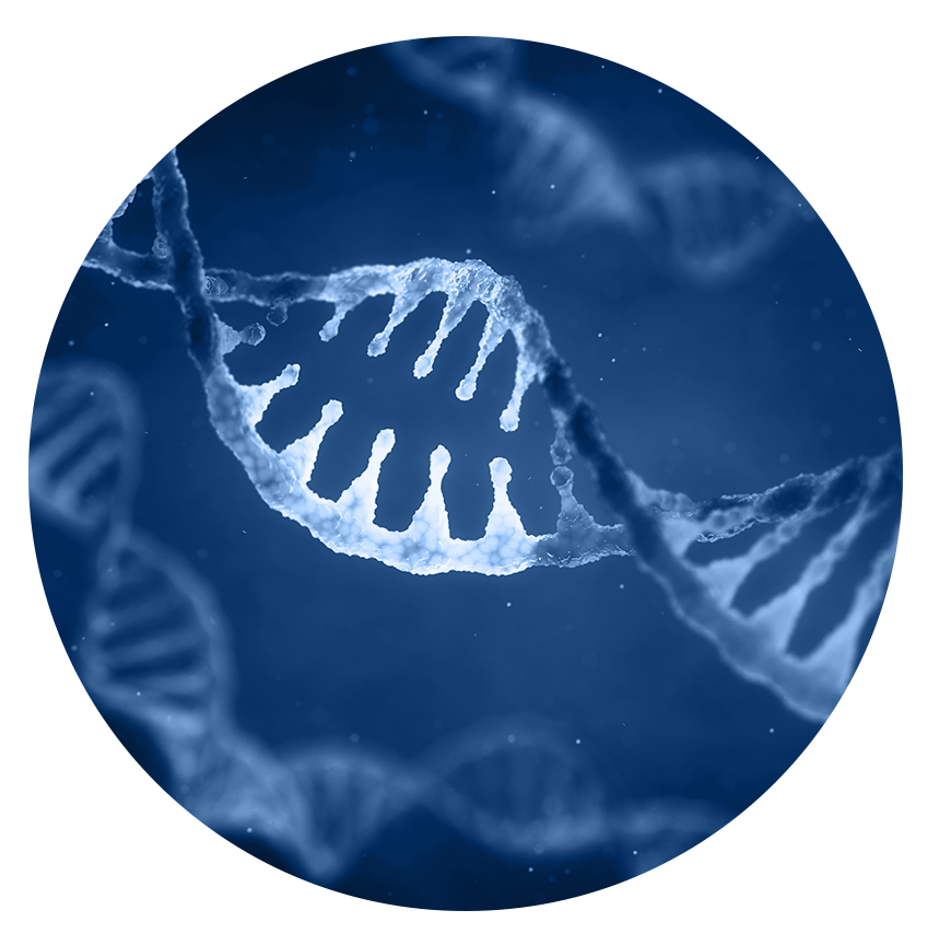 Biologics & Protein Engineering