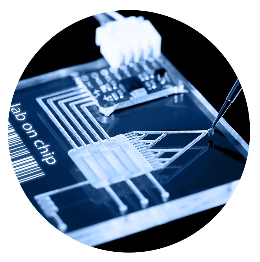 Biology-on-a-Chip