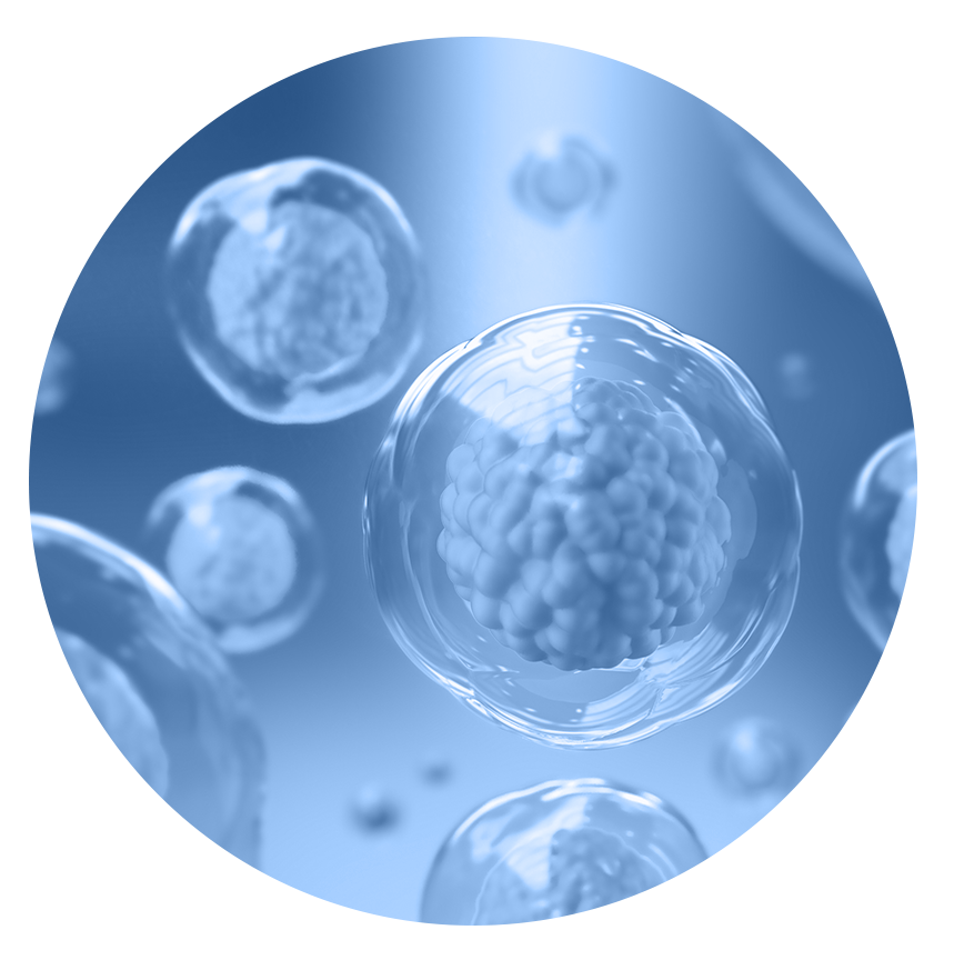 Targeted Small Molecule Therapeutics