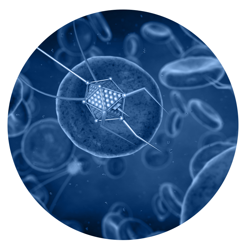Nanomedicine & Biomaterials